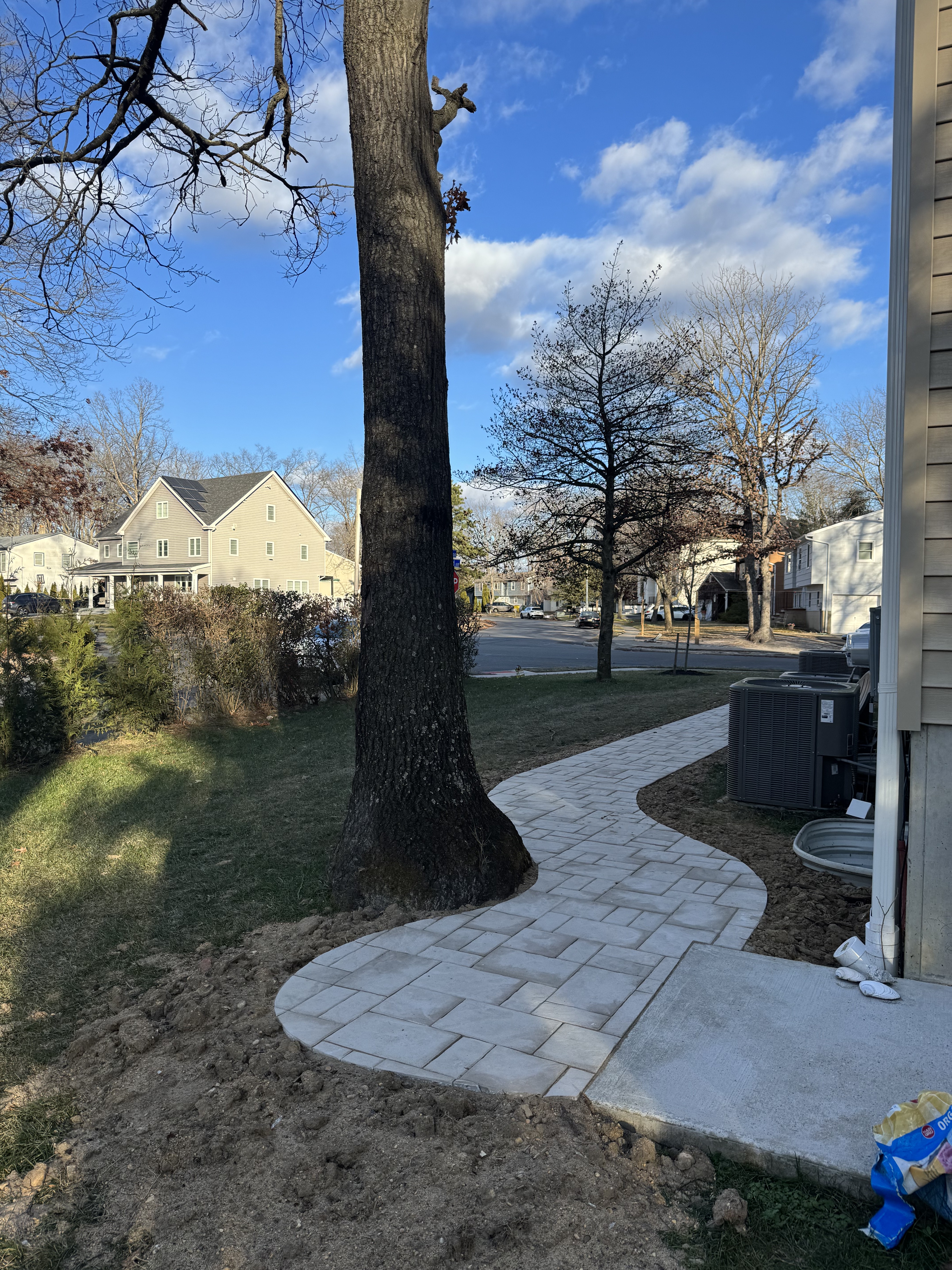 The Princewood Project 