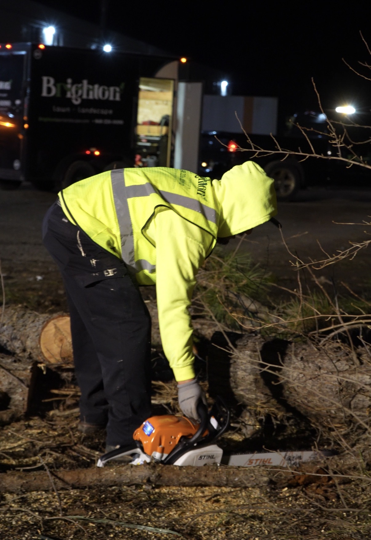 Emergency Tree Removal - Night Shift 