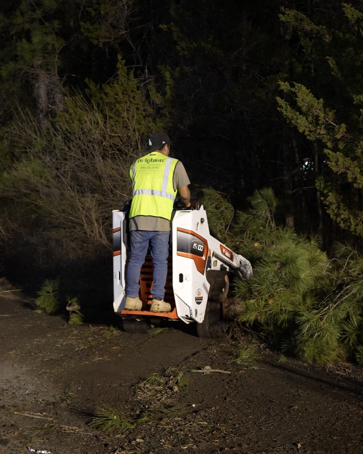 Emergency Tree Removal - Night Shift 