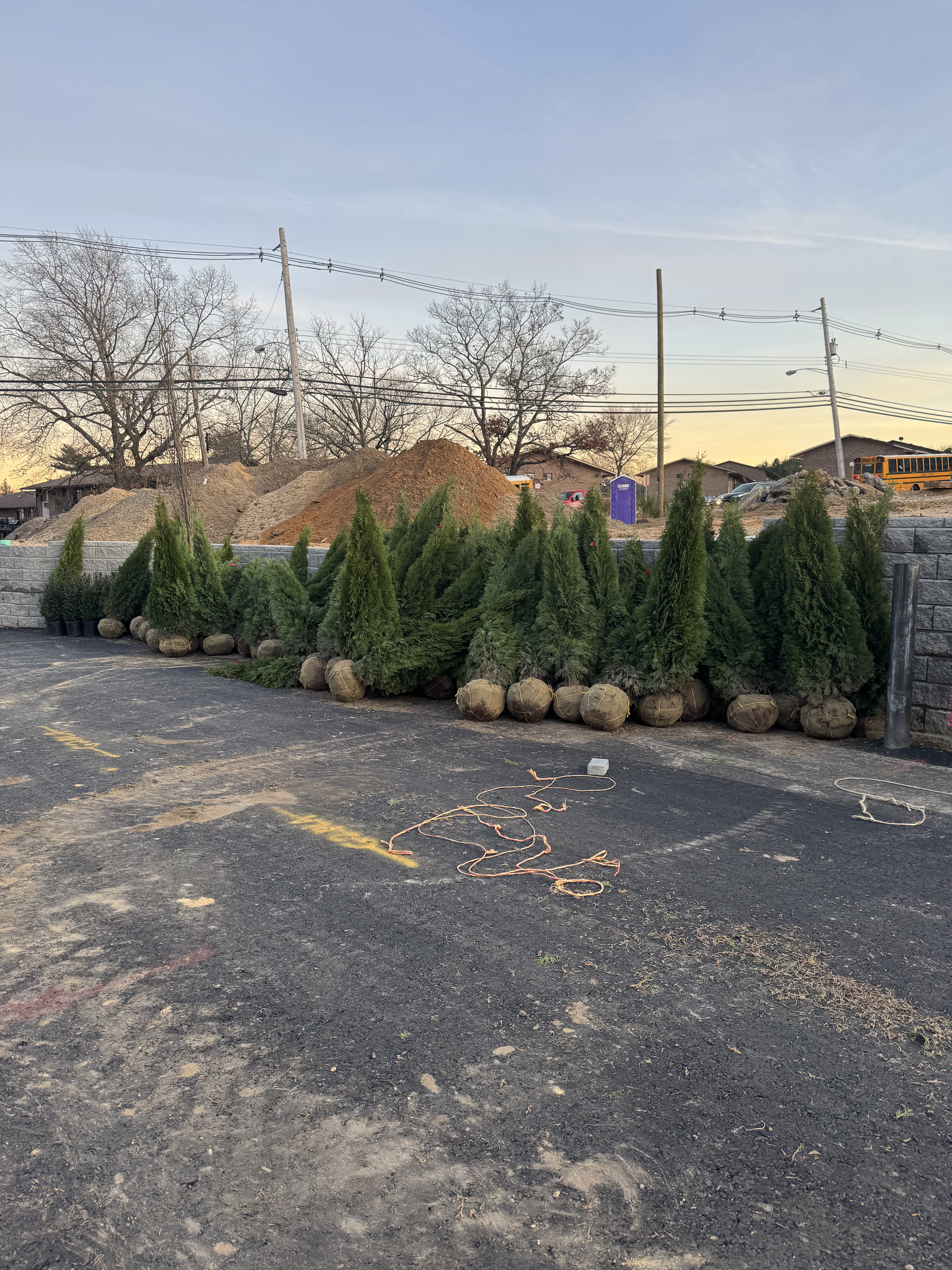 Scotchway landscaping